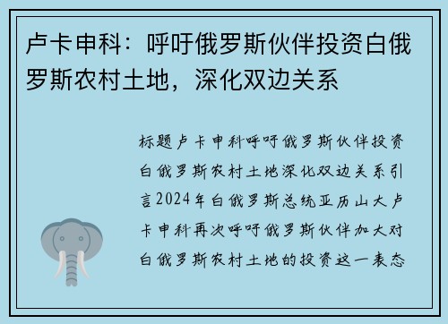 卢卡申科：呼吁俄罗斯伙伴投资白俄罗斯农村土地，深化双边关系