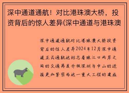 深中通道通航！对比港珠澳大桥，投资背后的惊人差异(深中通道与港珠澳大桥意义大比拼)