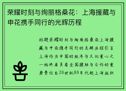 荣耀时刻与绚丽格桑花：上海援藏与申花携手同行的光辉历程