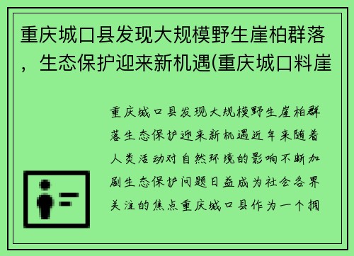 重庆城口县发现大规模野生崖柏群落，生态保护迎来新机遇(重庆城口料崖柏)