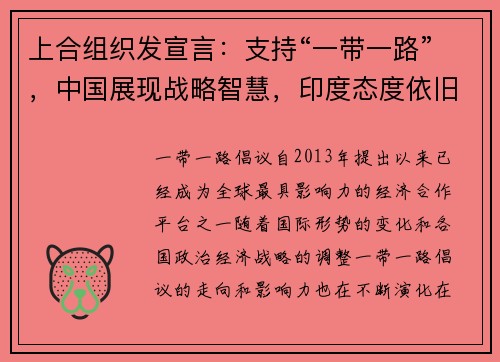 上合组织发宣言：支持“一带一路”，中国展现战略智慧，印度态度依旧保守